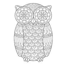 coloring page: Coloring for adults Owl