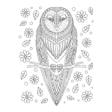 coloring page: Coloring for adults with an owl on a branch among flowers and leaves