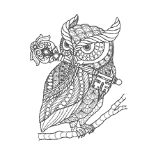 coloring page: Coloring for adults anti-stress - Owl with a key