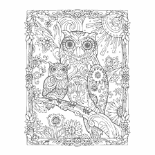 coloring page: Anti-stress coloring with an owl and owl