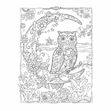 coloring page: Anti-stress coloring with an owl against a crescent background