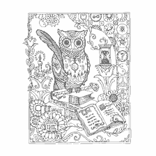 coloring page: Coloring for adults with owls and books