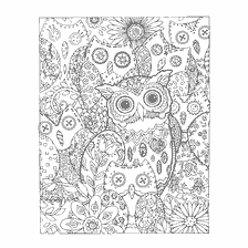 coloring page: Coloring for adults with an image of an owl against the background of floral patterns