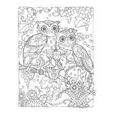 coloring page: Coloring for adults with owls and decorative elements