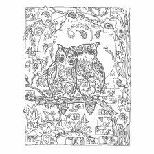 coloring page: Coloring for adults anti-stress Owl Love