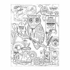 coloring page: Coloring book for adults depicting an owl and pharmacy bottles