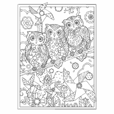 coloring page: Coloring for adults anti-stress with owls and flowers