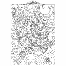 coloring page: Coloring for adults with owl and harp