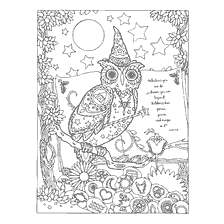 coloring page: Coloring for adults with an owl in a wizard's hat