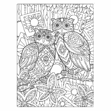 coloring page: Coloring for adults with an image of owls on a branch