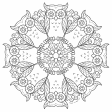 coloring page: Coloring for adults anti-stress with the image of owls in the shape of a mandala
