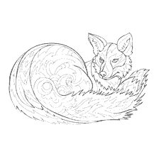 coloriage: Coloration anti-stress avec une image de renard.