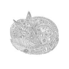 coloriage: Fox entour&eacute; de fleurs et de feuilles, livre de coloration pour adultes
