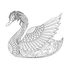 kolorowanka: Kolorowanki dla dorosłych - Swan