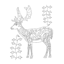 kleurplaat: Kleurende herten voor volwassenen anti-stress