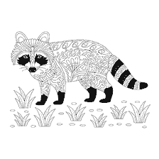 kleurplaat: Kleuringswasbeer met patroondesign