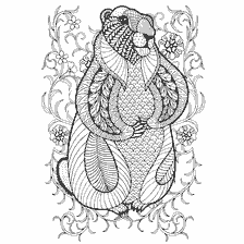 kleurplaat: Kleurplaat met bloemen voor volwassenen