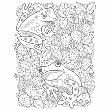 kleurplaat: Kleuren voor volwassenen met het beeld van kikkers en aardbeien