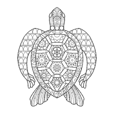 coloring page: Coloring sea turtles for adults