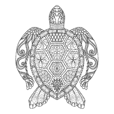 coloring page: Coloring for adults with the image of a sea turtle