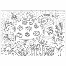 coloring page: Coloring for adults with an image of an electric stingray and marine life