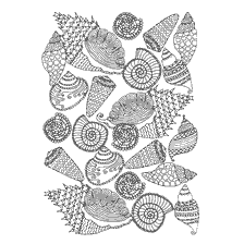 coloring page: Coloring for adults with seashells