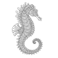 coloring page: Seahorse for painting in the style of anti-stress
