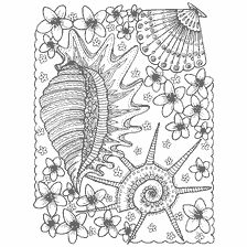 coloring page: Coloring for adults with sea shells and flowers