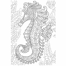 coloring page: Coloring seahorse for adults