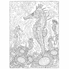 coloring page: Coloring for adults with the image of a seahorse and underwater flowers