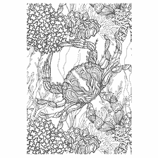 coloring page: Coloring for adults with the image of sea crab and coral reefs