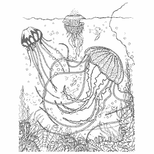 coloring page: Coloring for adults anti-stress with the image of jellyfish in the sea