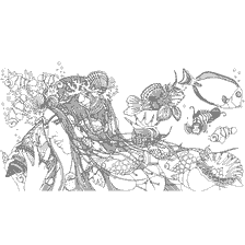 coloring page: Coloring book for adults with the image of a sea princess and marine life.