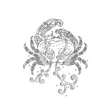 coloring page: Coloring sea crab for adults anti-stress