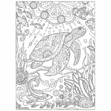 coloring page: Coloring book for adults with sea turtle and marine life.