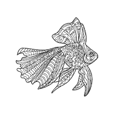 coloring page: Coloring for adults anti-stress - a beautiful fish