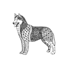 coloriage: Coloration anti-stress d'un chien Husky