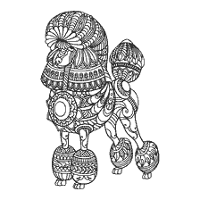 coloriage: Coloration pour adultes anti-stress avec une image de caniche