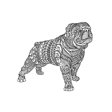 coloriage: Coloration pour adultes anti-stress avec l'image du Bulldog anglais
