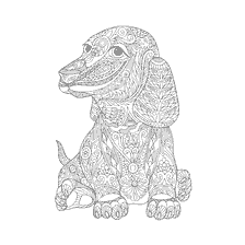 coloriage: Coloration anti-stress avec un dachshund