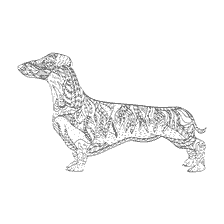 coloriage: Coloration anti-stress chien dachshund avec des motifs
