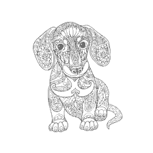 coloriage: Coloration dachshunds pour adultes anti-stress