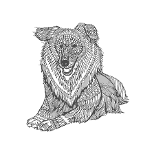 coloriage: Coloration pour adultes chiens anti-stress Collie