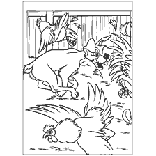 coloriage: Tramps de dessin et poulets dans la coloration