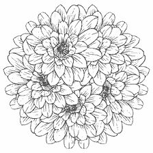 kleurplaat: Anti-stress kleuring met bloemen