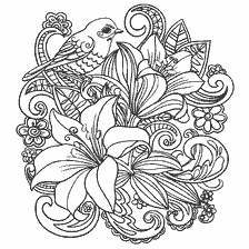 kleurplaat: Antistress kleuring met lelies en vogels