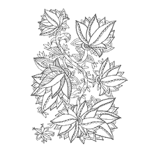 kleurplaat: Print kleurboek voor volwassenen met bloemen