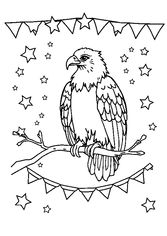 Bald eagle on branch coloring page
