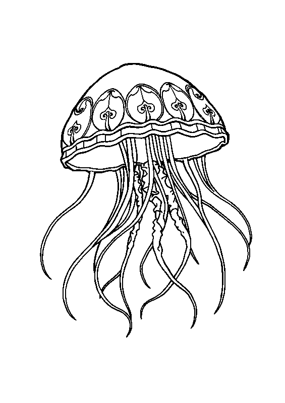Floating jellyfish in ocean coloring page