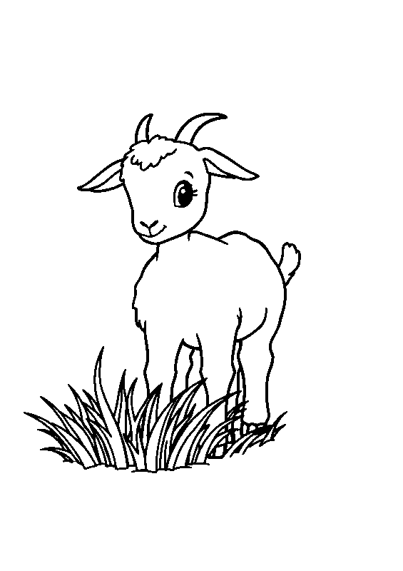 Cabra bebé comiendo hierba dibujo para colorear